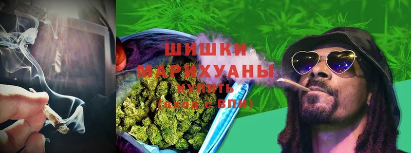 МАРИХУАНА SATIVA & INDICA  купить наркотики сайты  Бронницы 